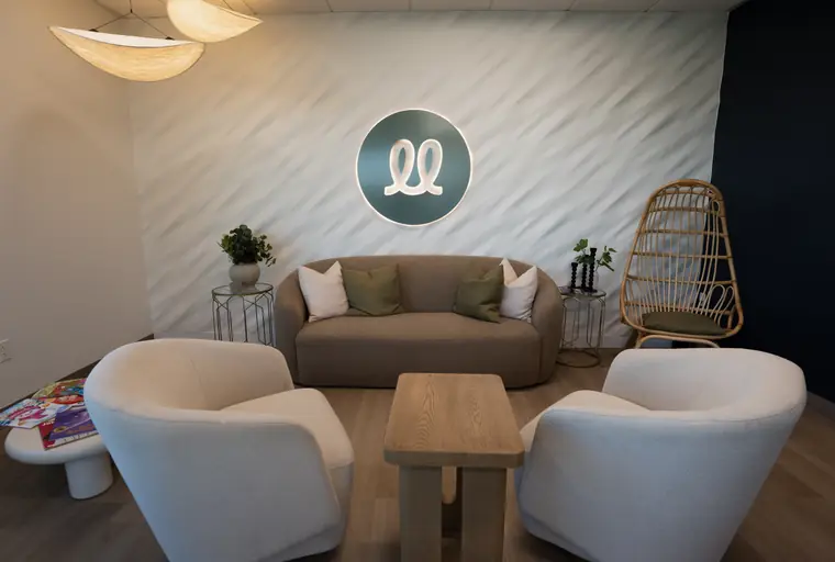 Family room lounge seating
